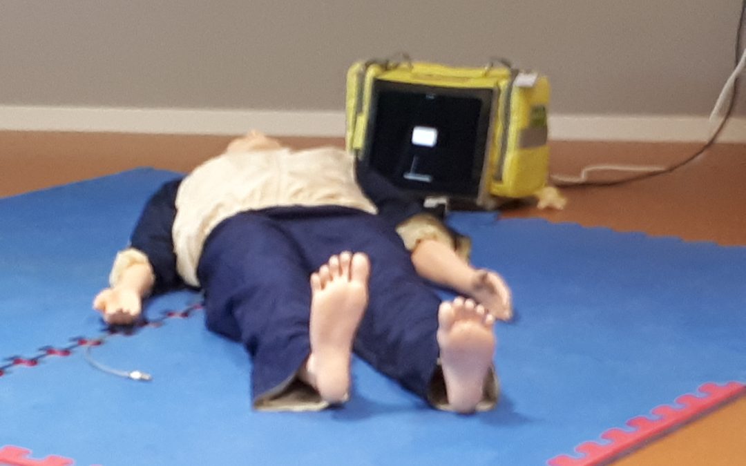 EMS2